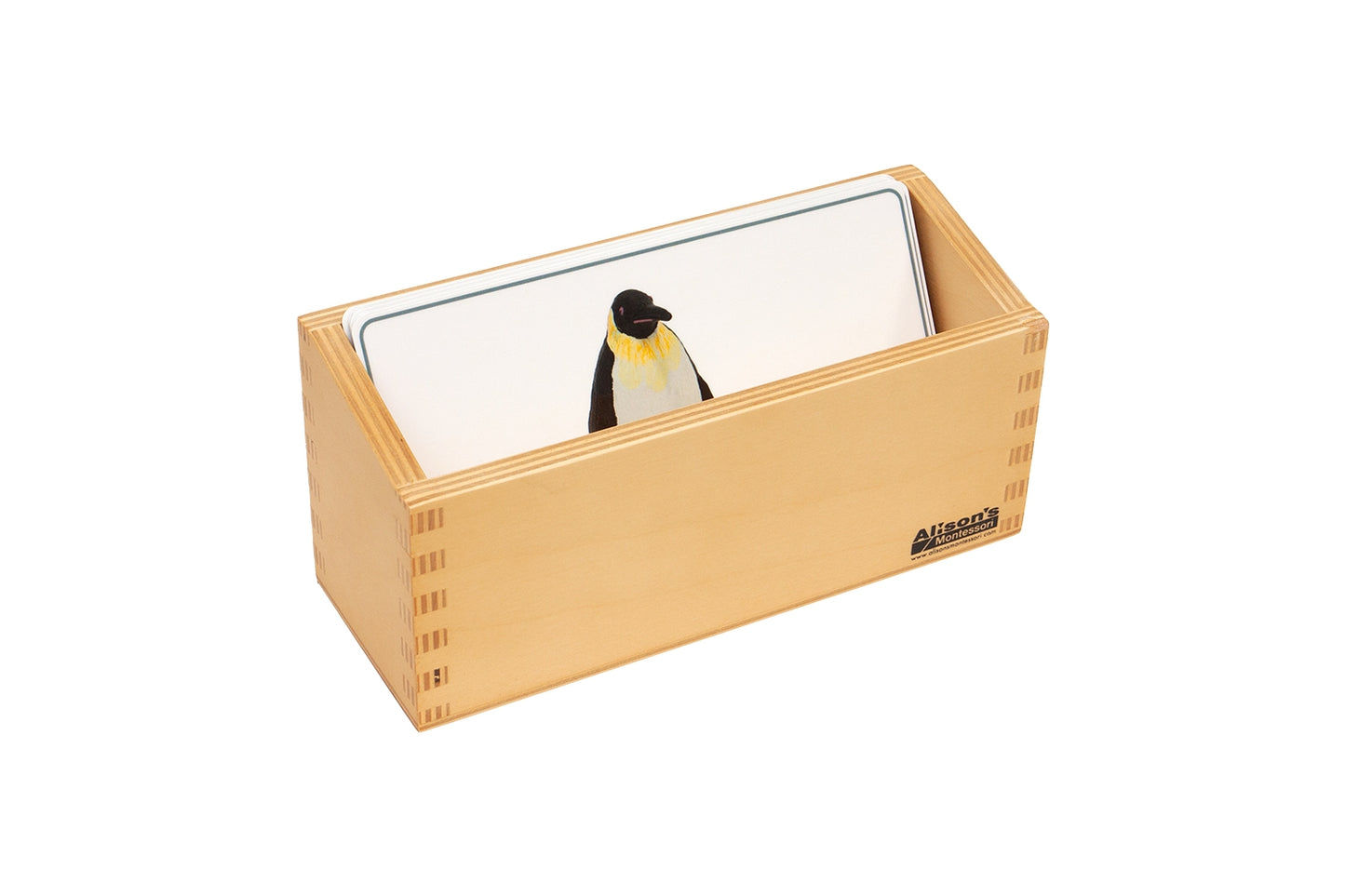 Polar Region Animals Matching Cards