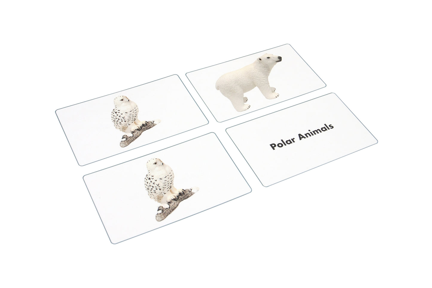 Polar Region Animals Matching Cards