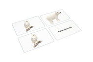 Polar Region Animals Matching Cards