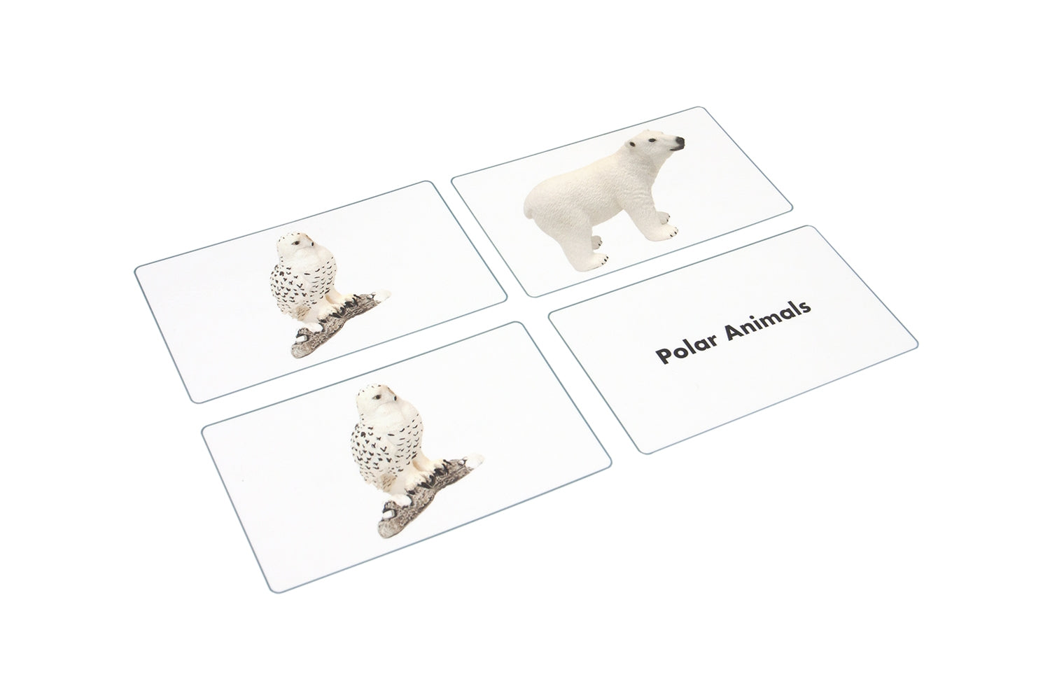 Polar Region Animals Matching Cards