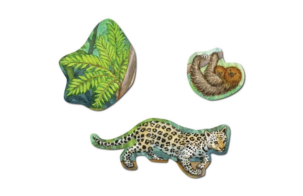 Biome Charts - Tropical Rainforest Biome