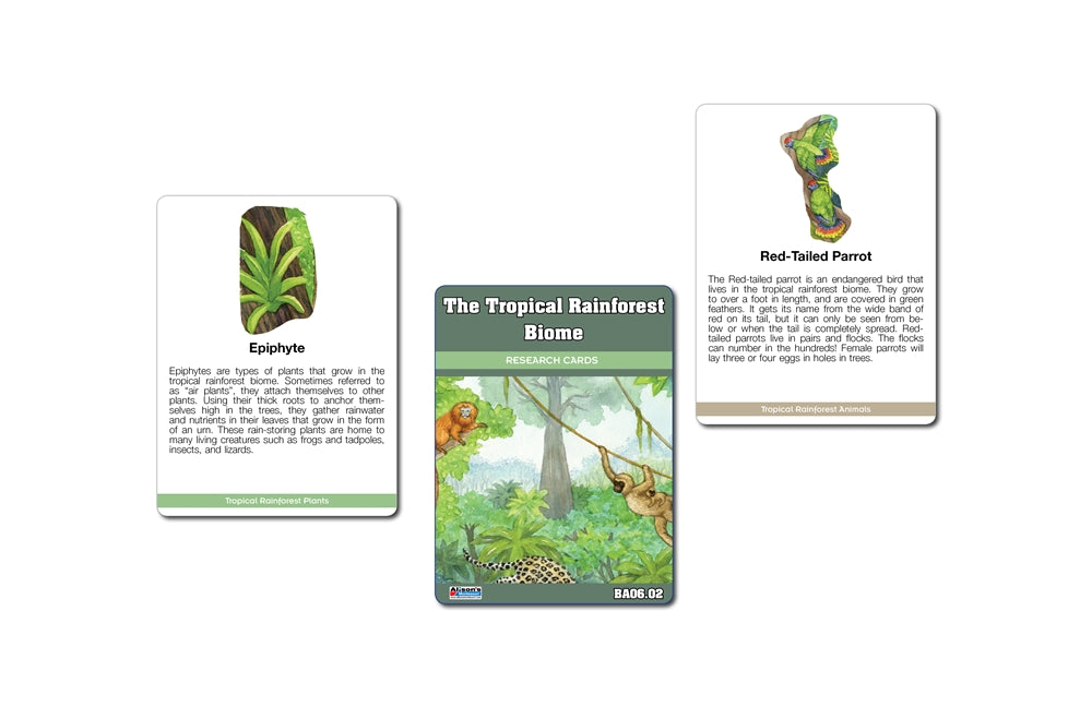 Biome Charts - Tropical Rainforest Biome