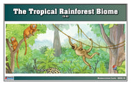 Tropical Rainforest Biome Nomenclature Cards (3-6) (Printed)