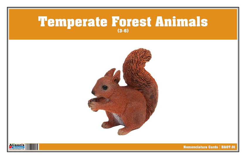 Temperate Forest Animals Nomenclature Cards