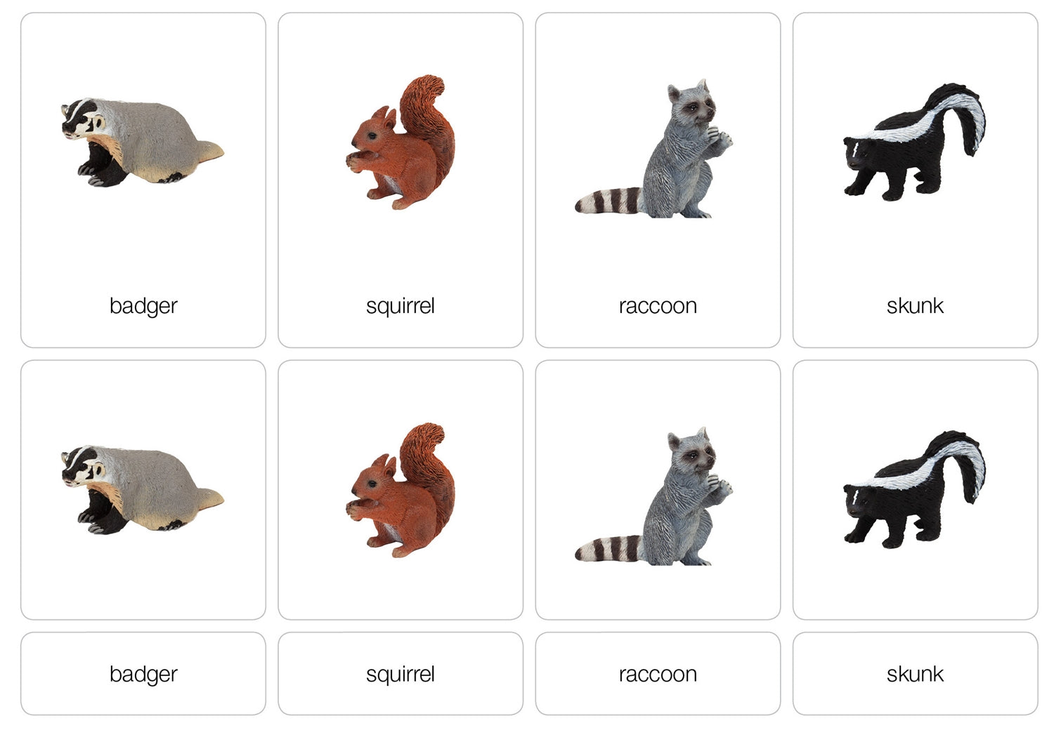 Temperate Forest Animals Nomenclature Cards