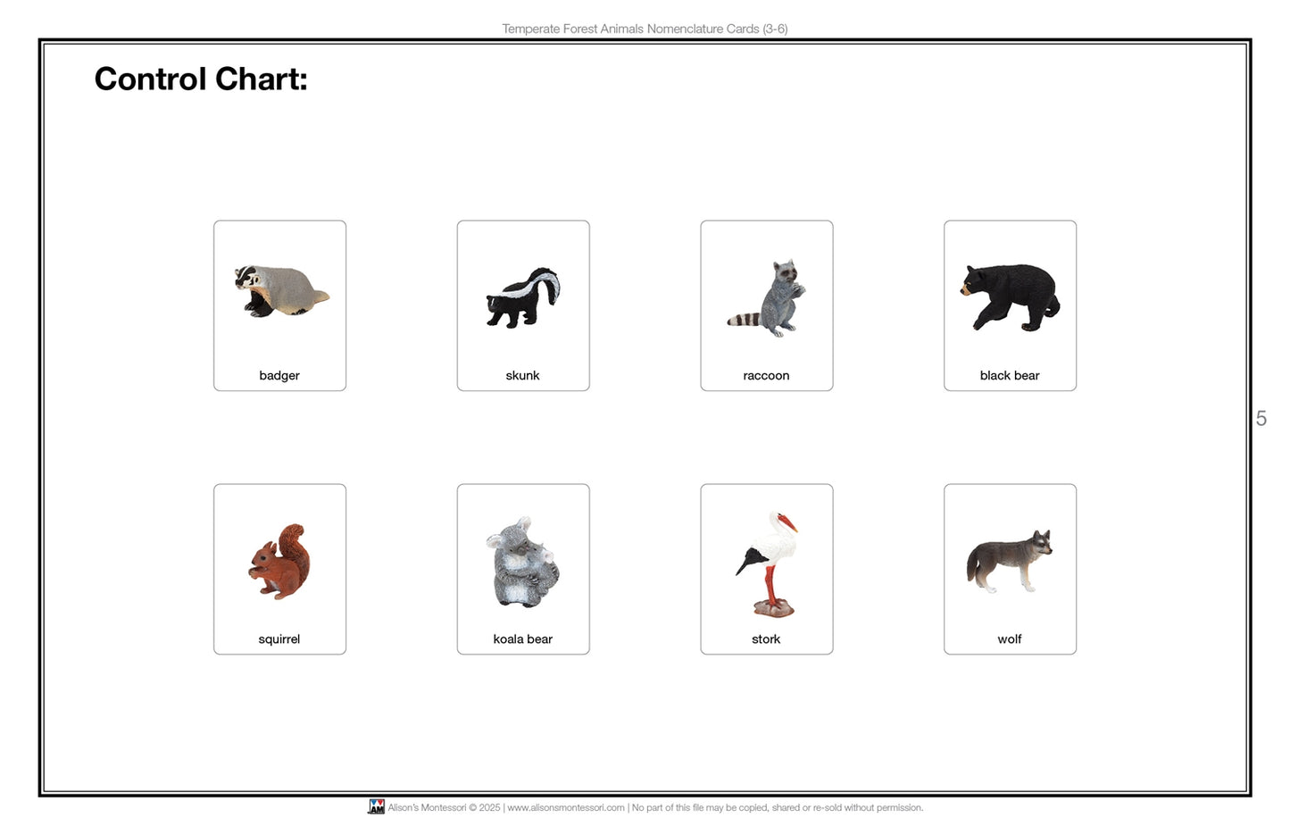 Temperate Forest Animals Nomenclature Cards