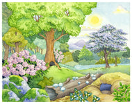 Biome Charts - Temperate Deciduous Forest Biome