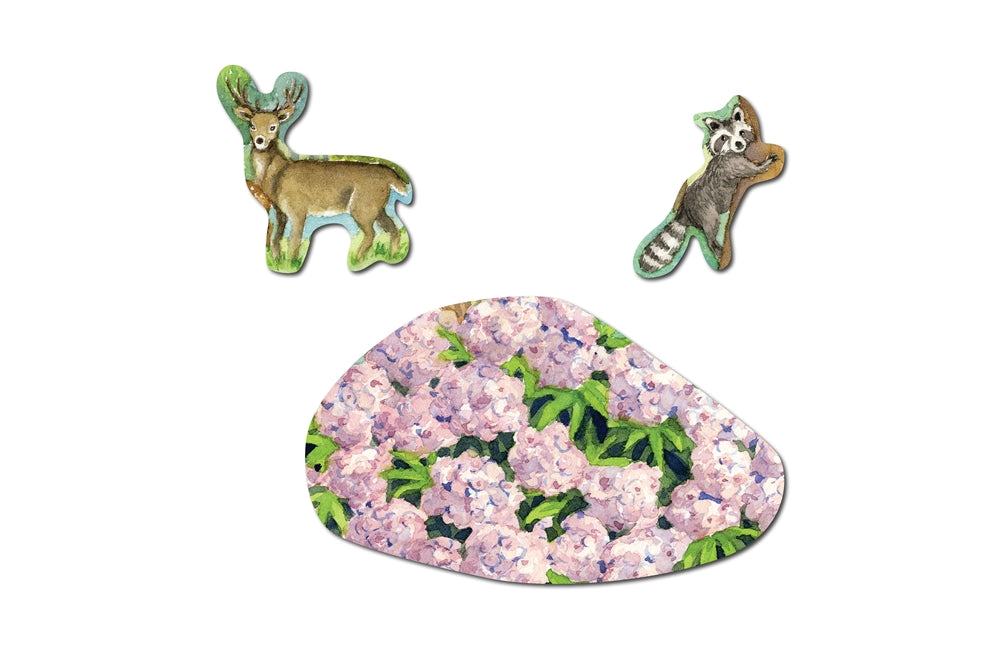 Biome Charts - Temperate Deciduous Forest Biome