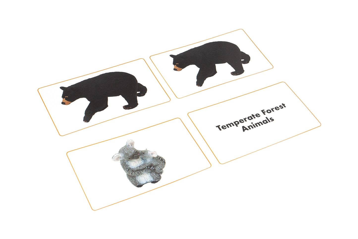 Temperate Forest Animals Matching Cards