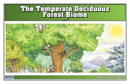 Temperate Deciduous Forest Biome Nomenclature Cards (3-6) (Printed)