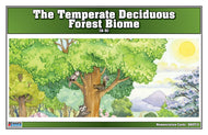 Temperate Deciduous Forest Biome Nomenclature Cards (6-9) (Printed)