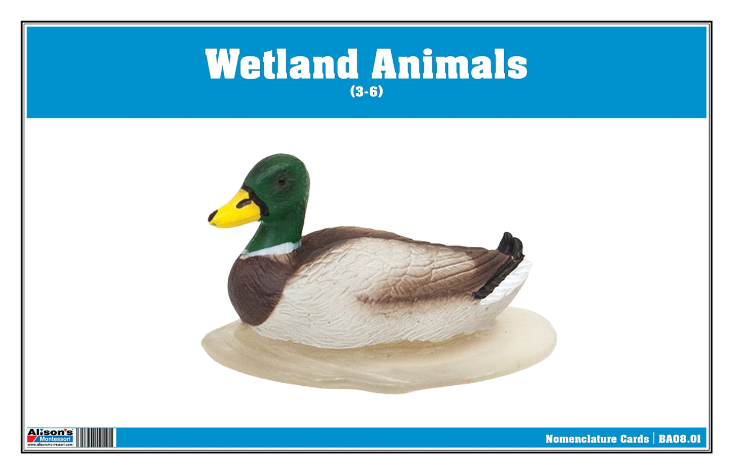 Wetlands Animals Nomenclature Cards