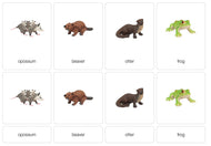 Wetlands Animals Nomenclature Cards