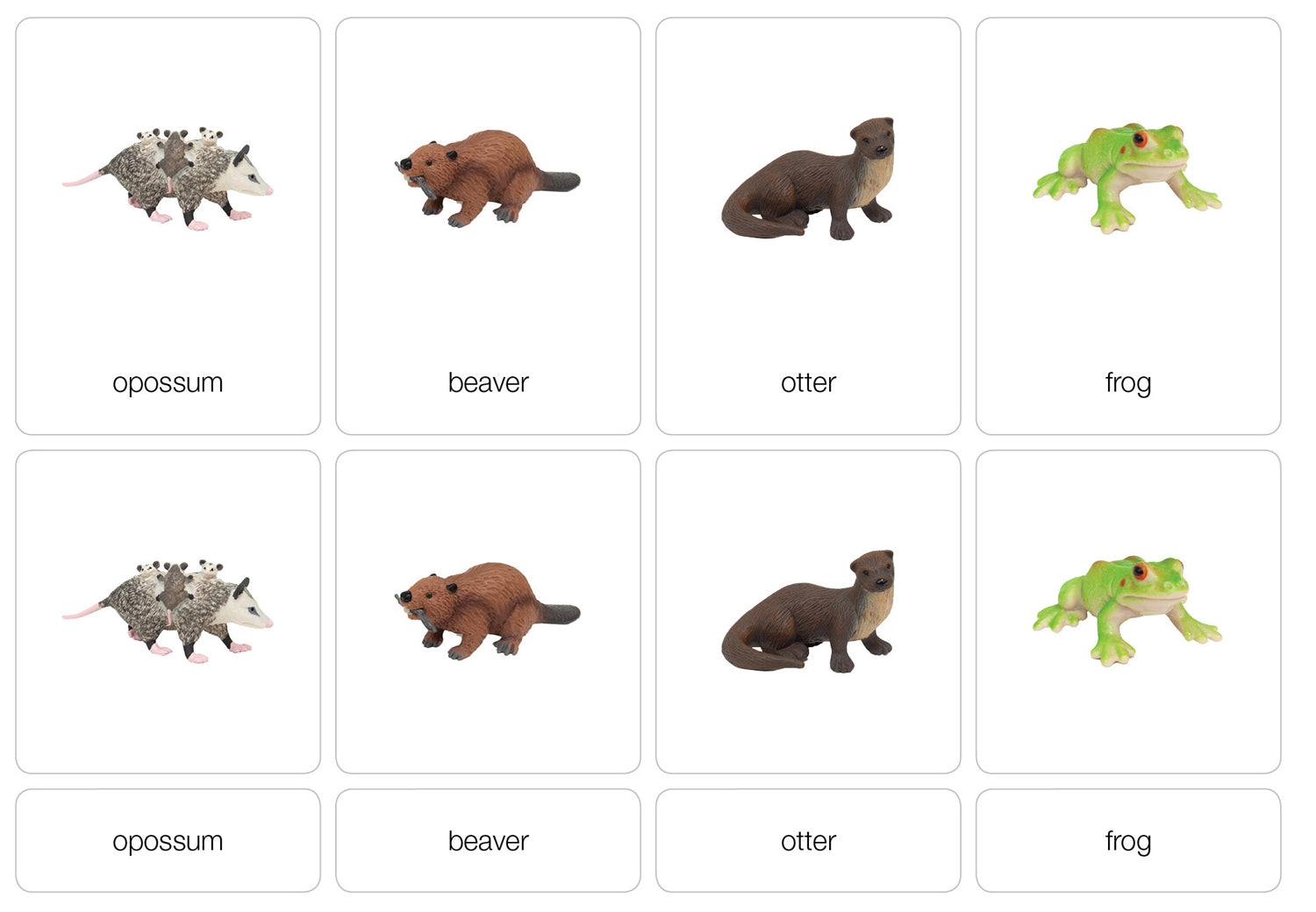 Wetlands Animals Nomenclature Cards