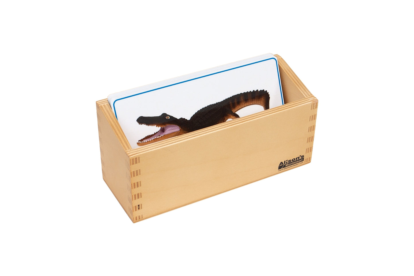 Wetlands Animals Matching Cards