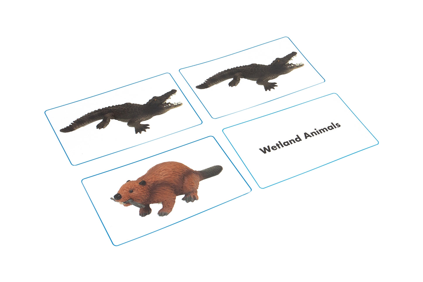 Wetlands Animals Matching Cards