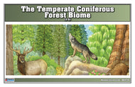 Temperate Coniferous Forest Biome Nomenclature Cards (3-6) (Printed)