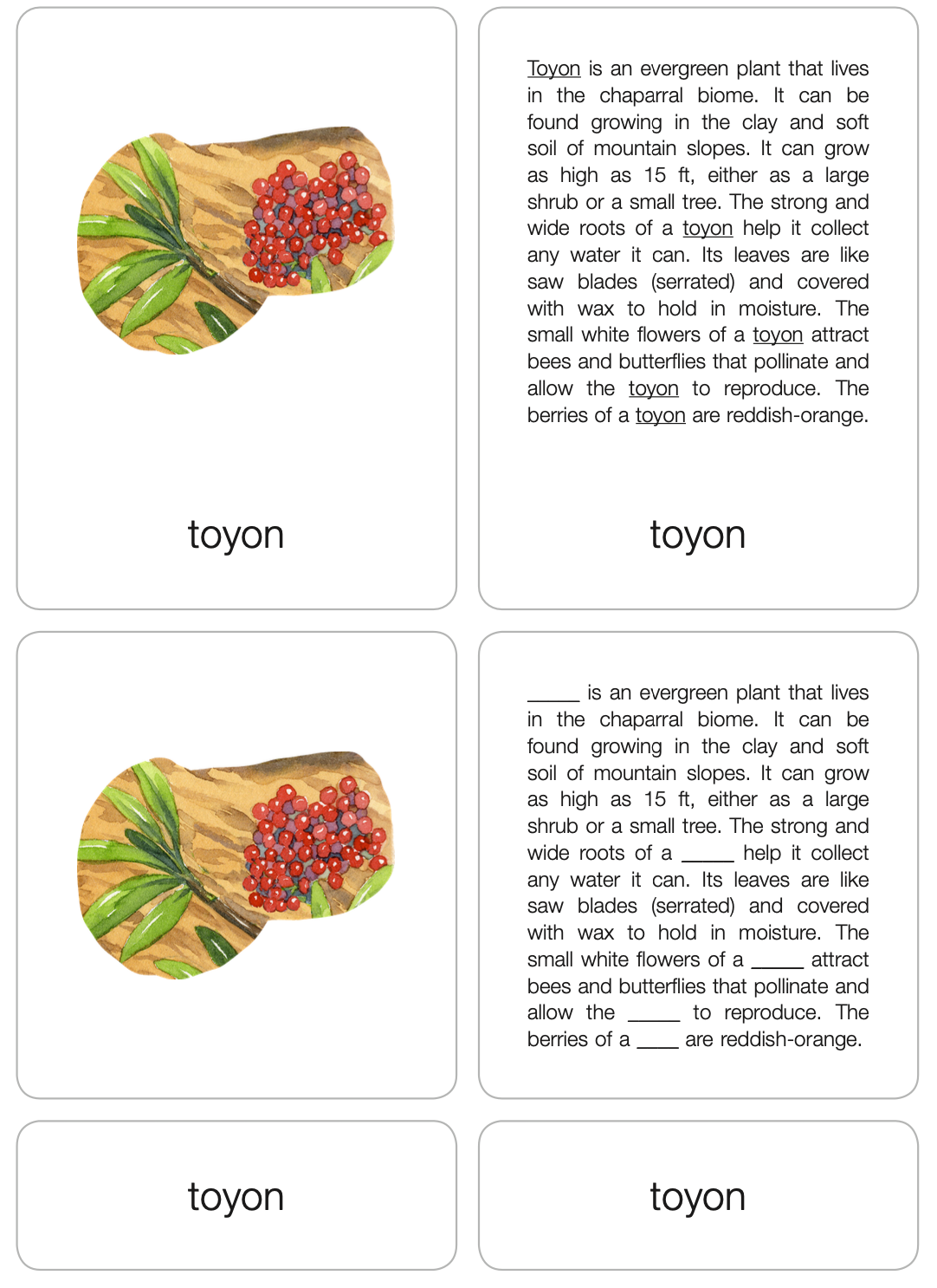 Chaparral Biome Nomenclature Cards (6-9) (Printed)
