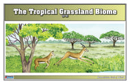 Tropical Grassland Biome Nomenclature Cards (3-6) (Printed)
