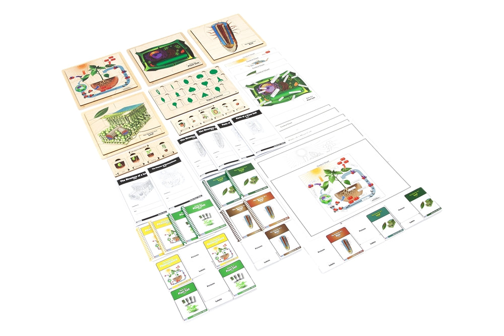 Spring Nature Study - Complete Curriculum