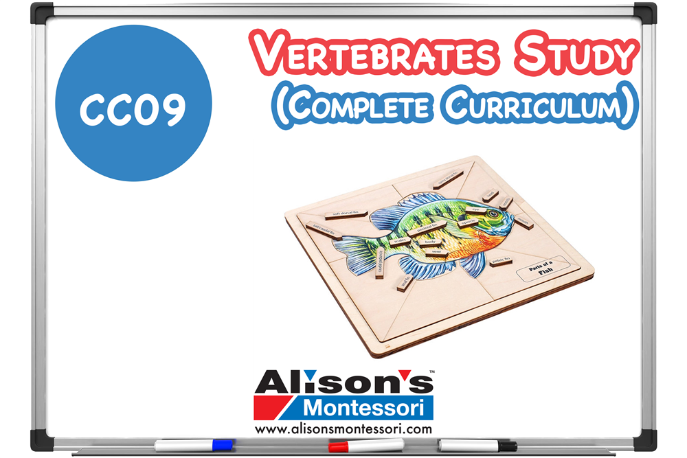 Vertebrates Study - Complete Curriculum