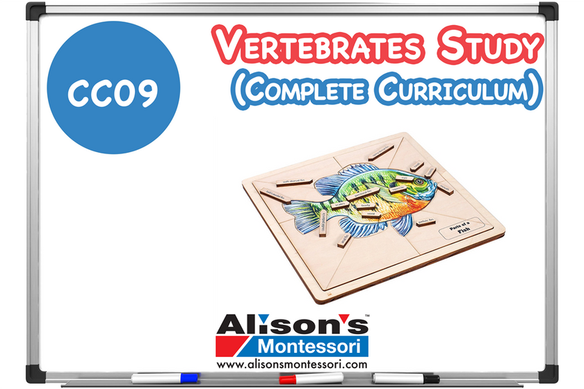 Vertebrates Study - Complete Curriculum