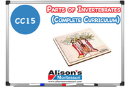 Parts of Invertebrates - Complete Curriculum