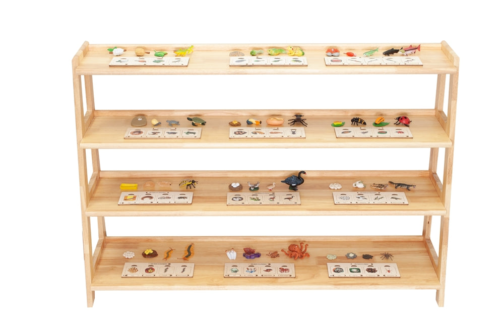 Time Teaching Set (Premium Quality)