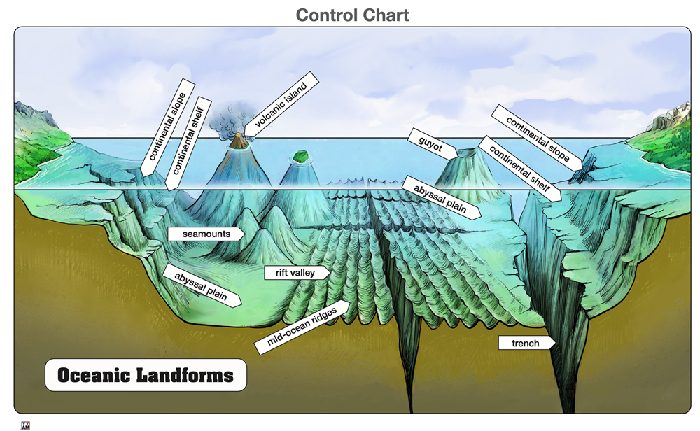 Oceanic Landforms Puzzle with Nomenclature Cards (3-6)