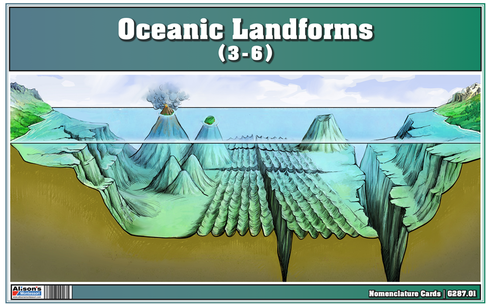 Oceanic Landforms Puzzle with Nomenclature Cards (3-6)