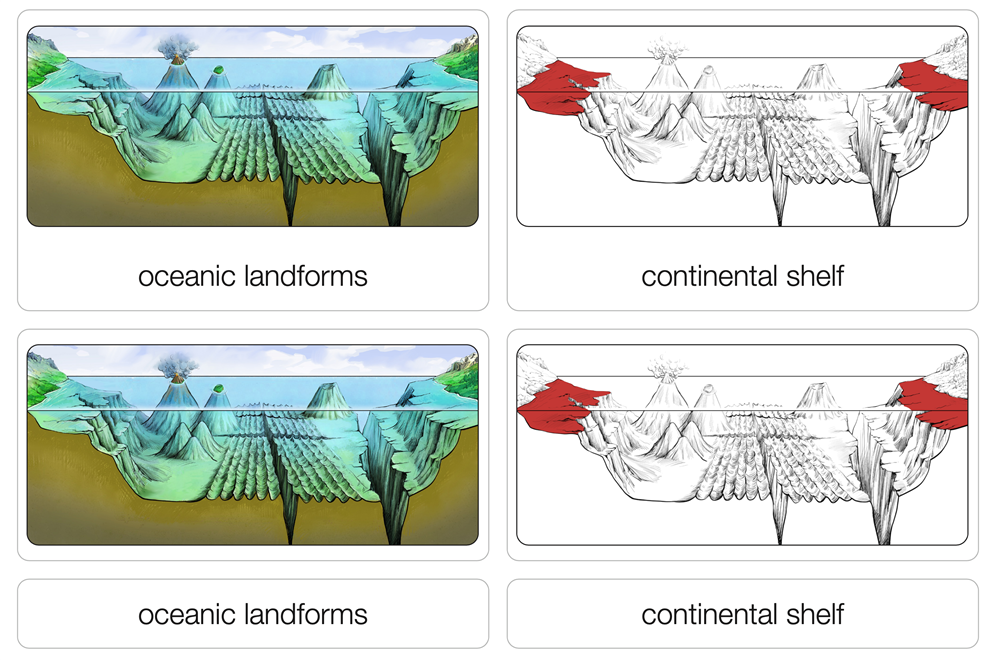 Oceanic Landforms Puzzle with Nomenclature Cards (3-6)
