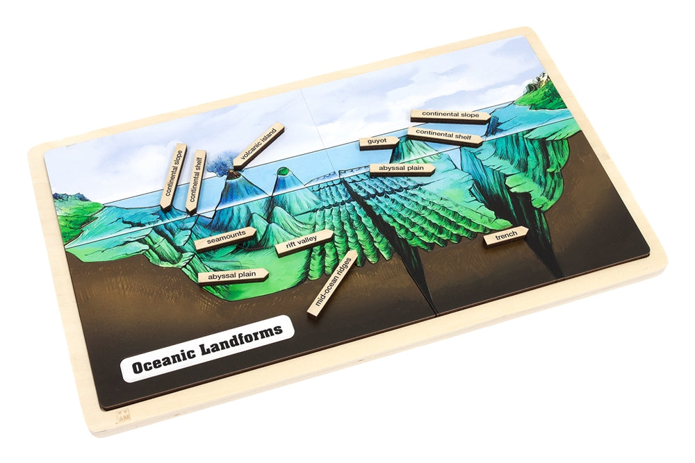 Oceanic Landforms Puzzle with Nomenclature Cards (6-9)
