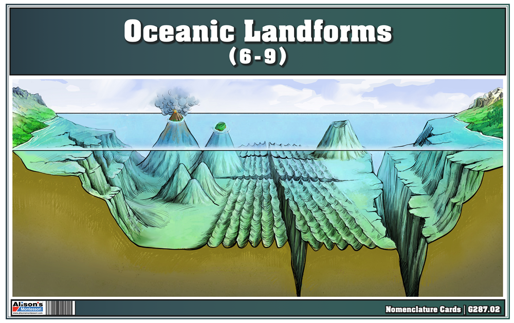 Oceanic Landforms Puzzle with Nomenclature Cards (6-9)