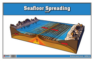Seafloor Spreading Nomenclature Cards (3-6)