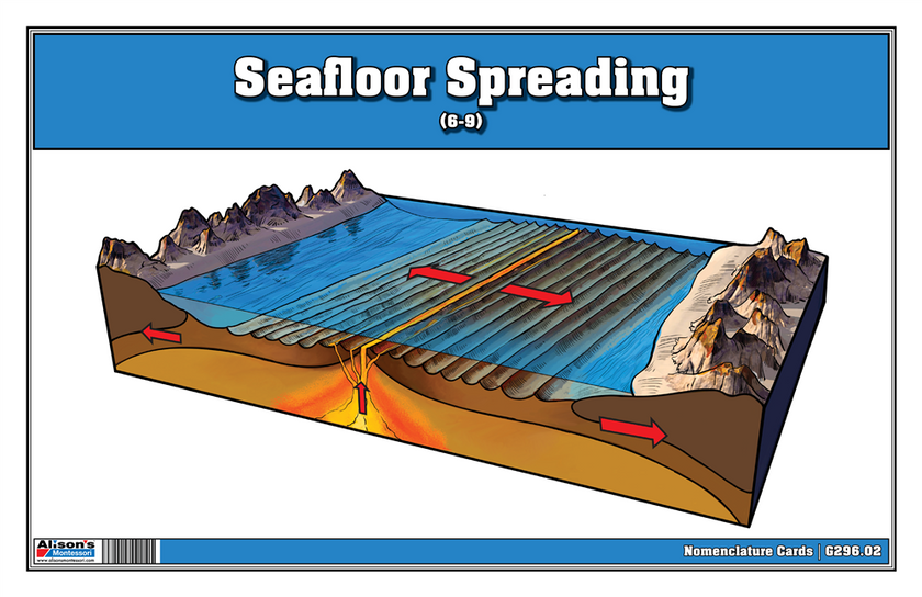 Seafloor Spreading Nomenclature Cards (6-9)