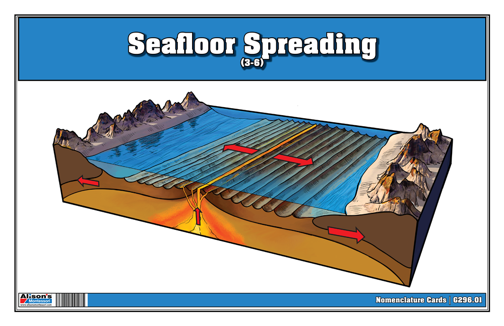Seafloor Spreading Puzzle with Nomenclature Cards (3-6)