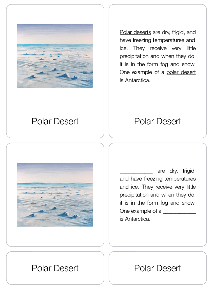 Types of Deserts Nomenclature Cards (6-9) (Printed)