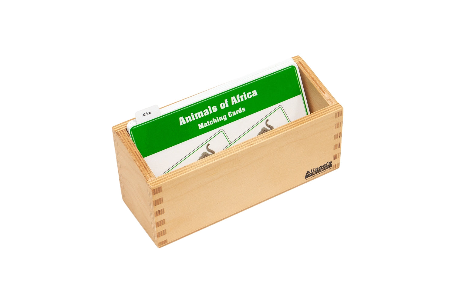 Animals of Africa Matching Cards