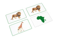 Animals of Africa Matching Cards