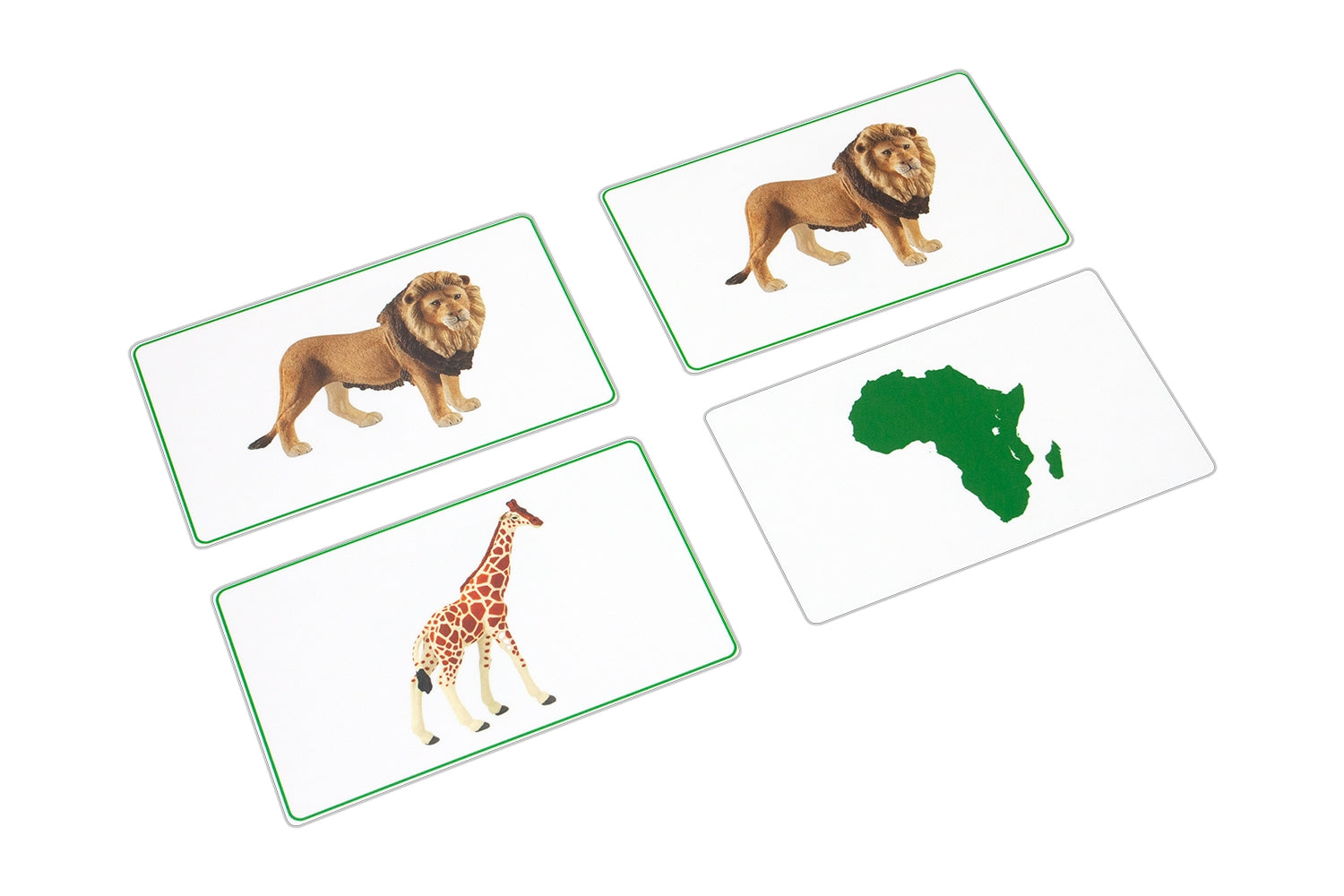 Animals of Africa Matching Cards