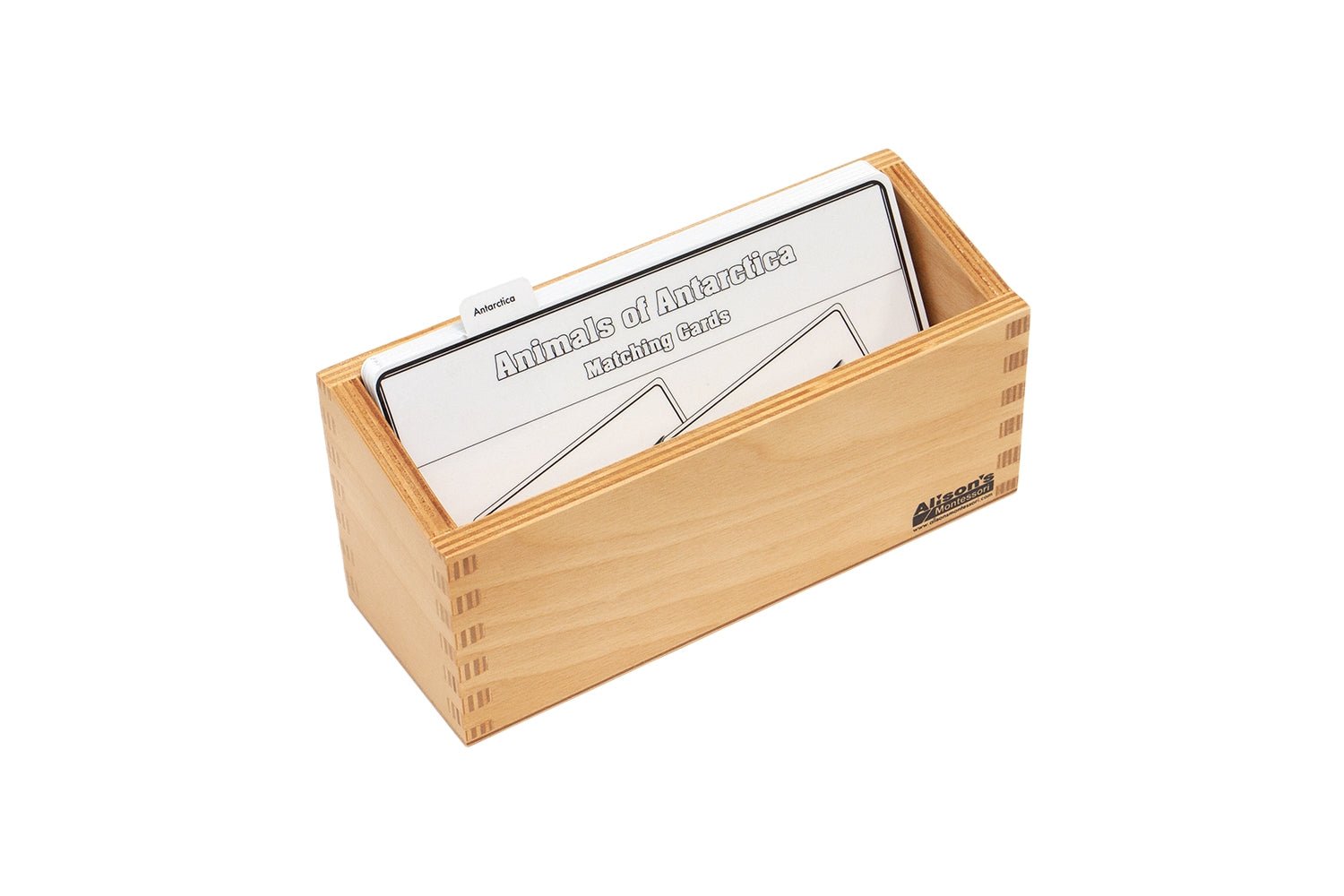 Animals of Antarctica Matching Cards