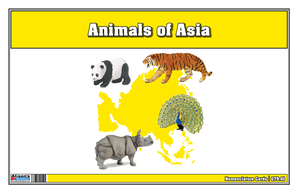 Animals of Asia Nomenclature Cards (Printed)