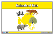 Animals of Asia Nomenclature Cards (Printed)