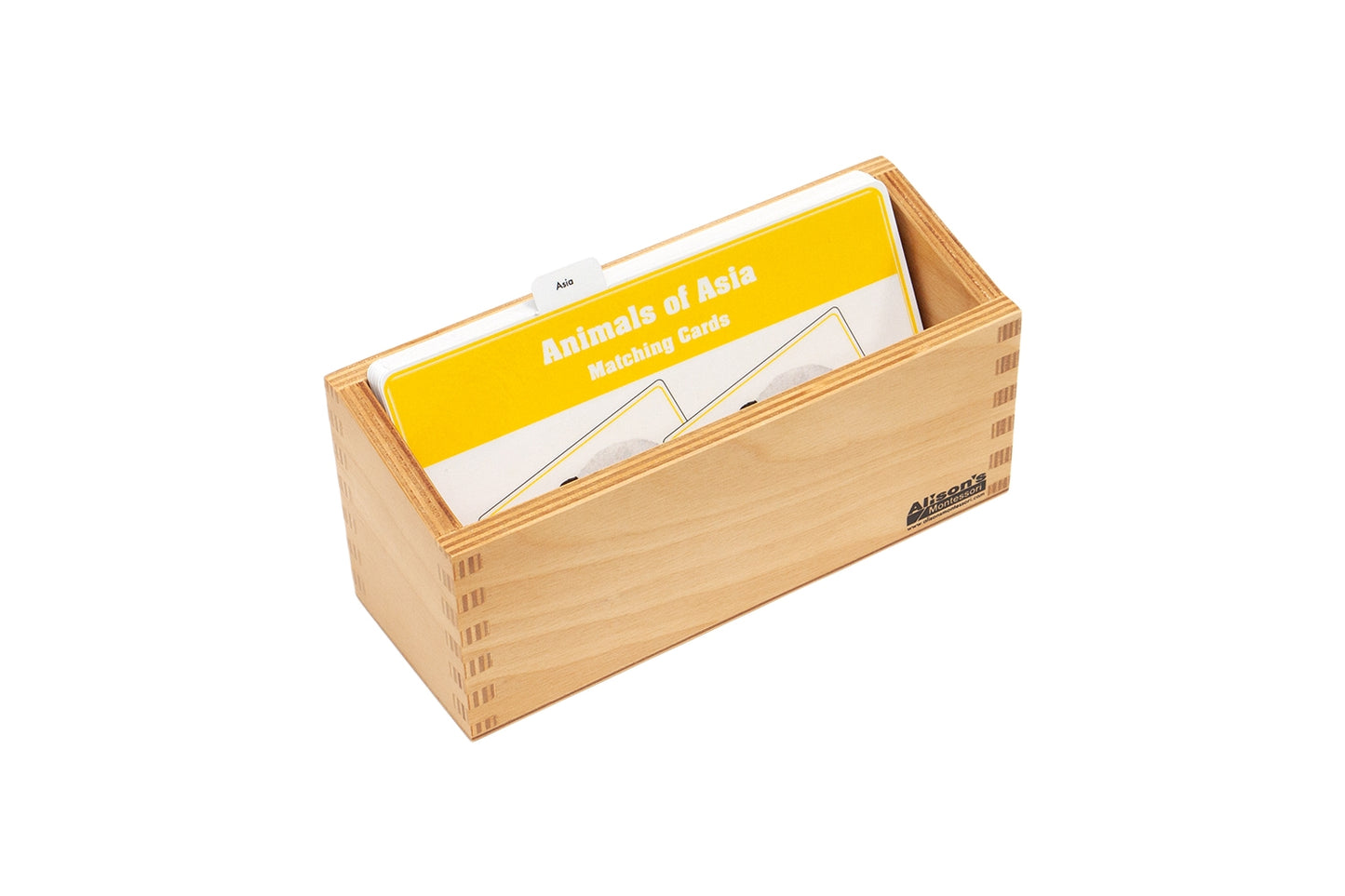 Animals of Asia Matching Cards