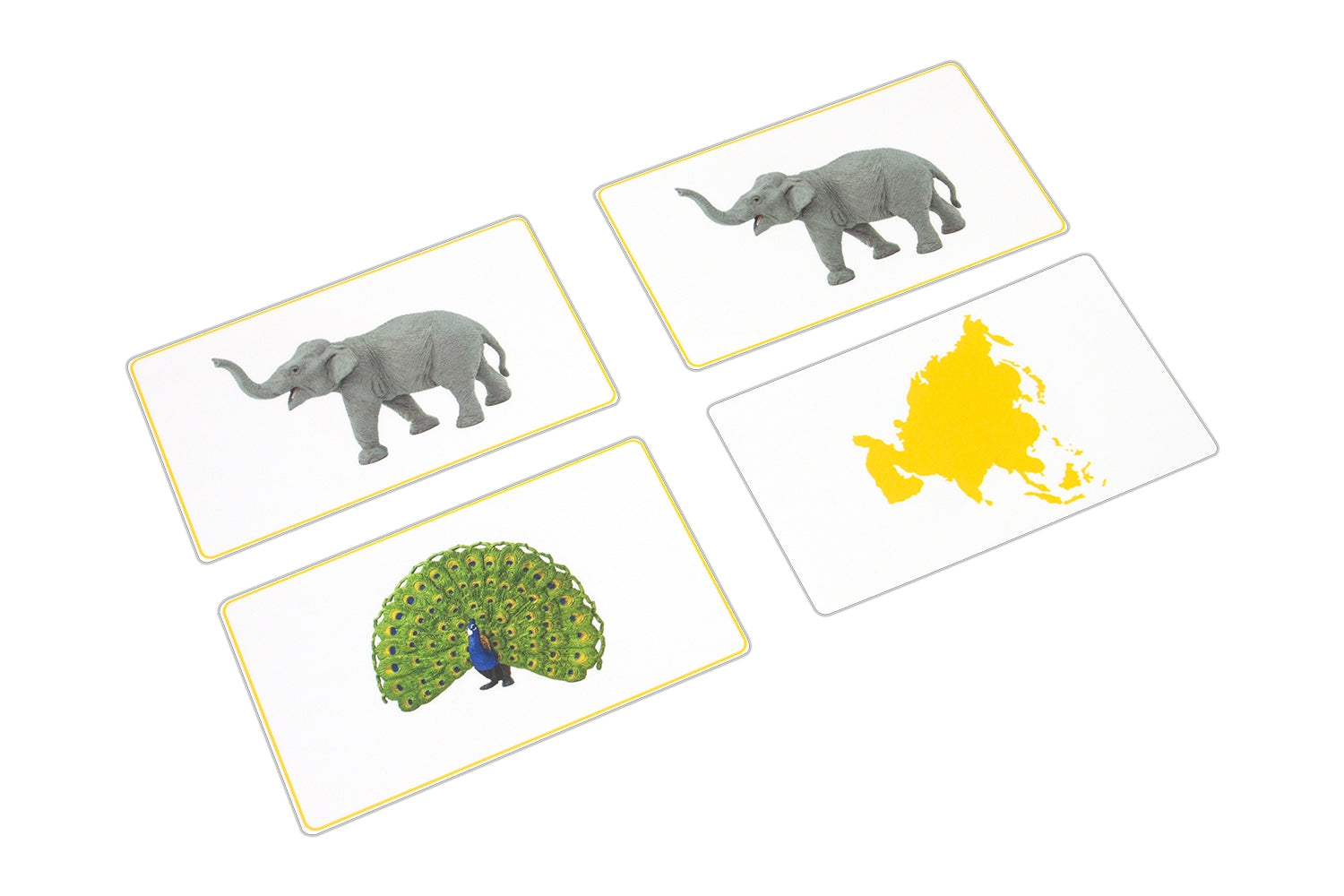 Animals of Asia Matching Cards