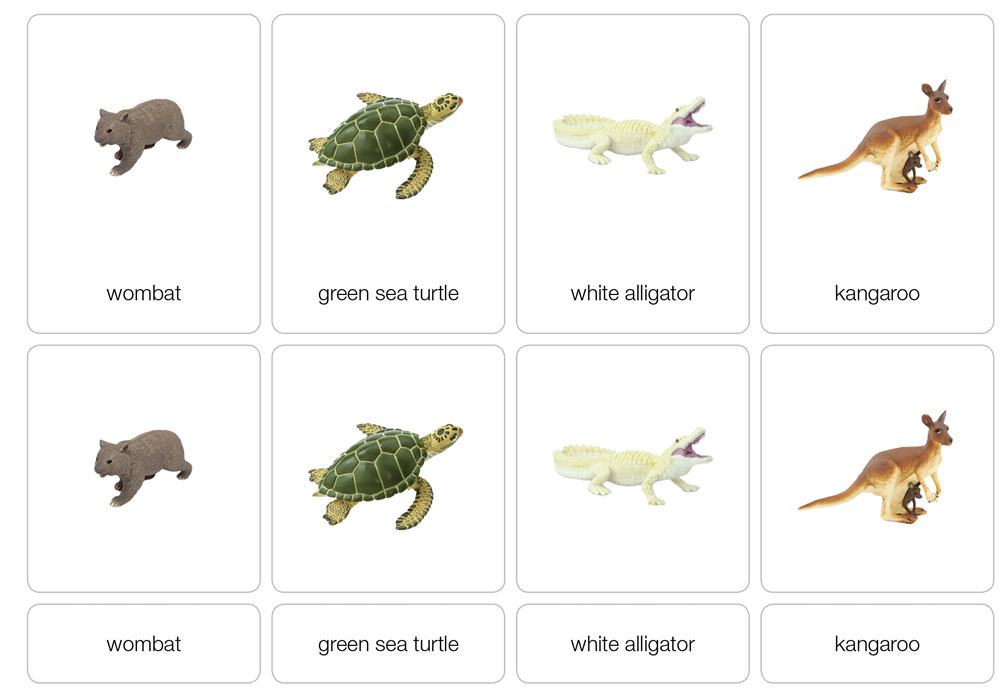 Animals of Australia Nomenclature Cards (Printed)