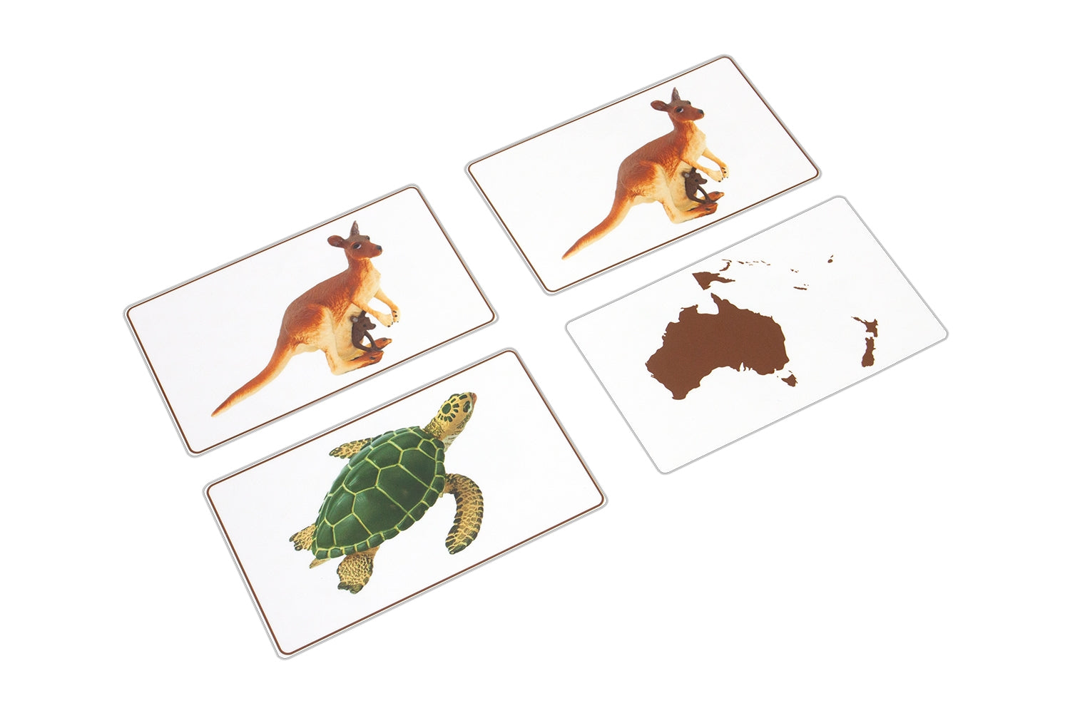 Animals of Australia Matching Cards