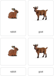 Animals of Europe Nomenclature Cards (Printed)