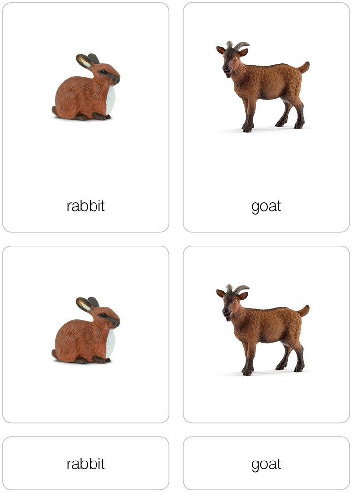 Animals of Europe Nomenclature Cards (Printed)