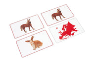 Animals of Europe Matching Cards